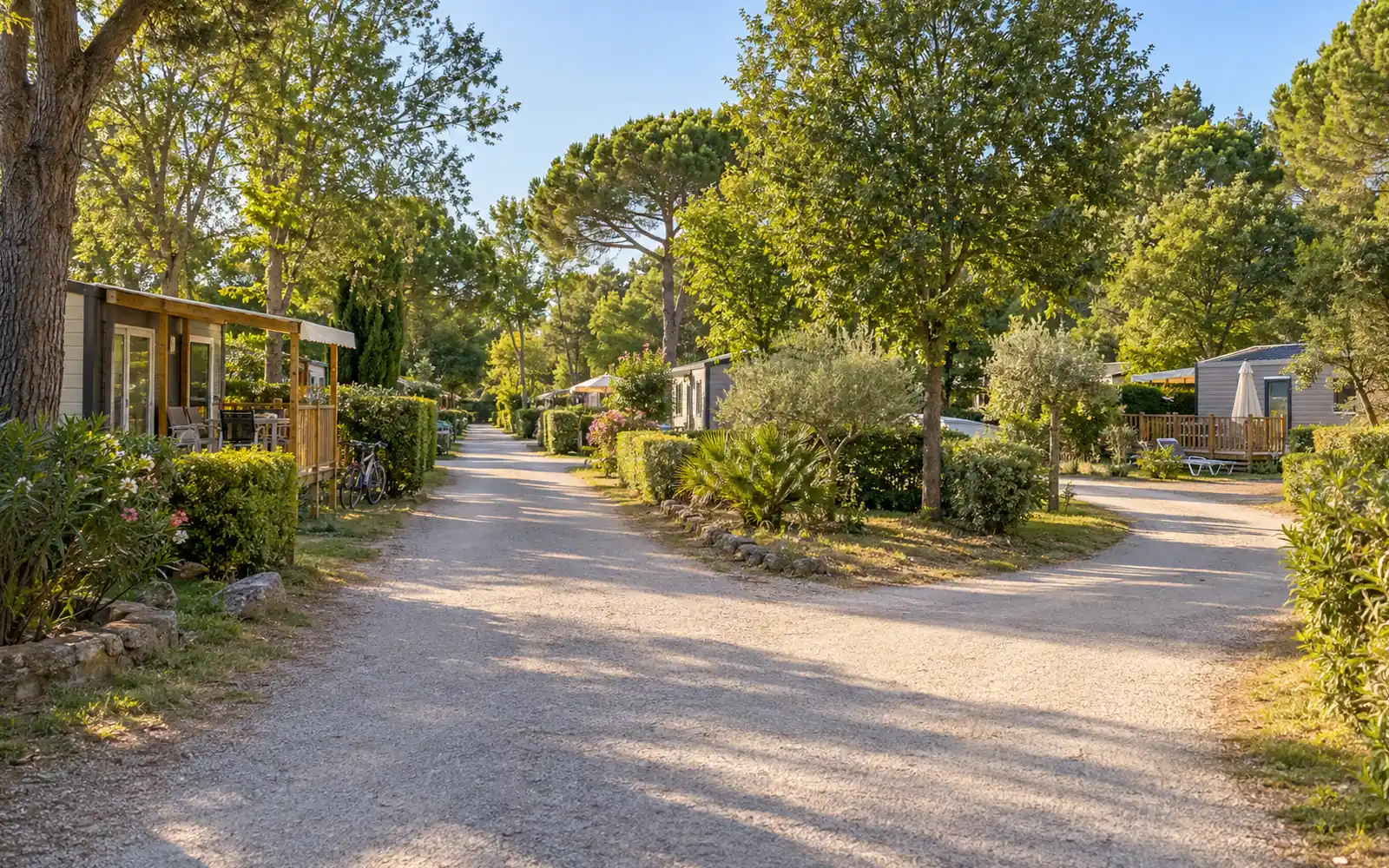 Croisement d’allées dans un camping ombragé, avec deux repères jaunes : la piscine tout droit, les sanitaires à droite